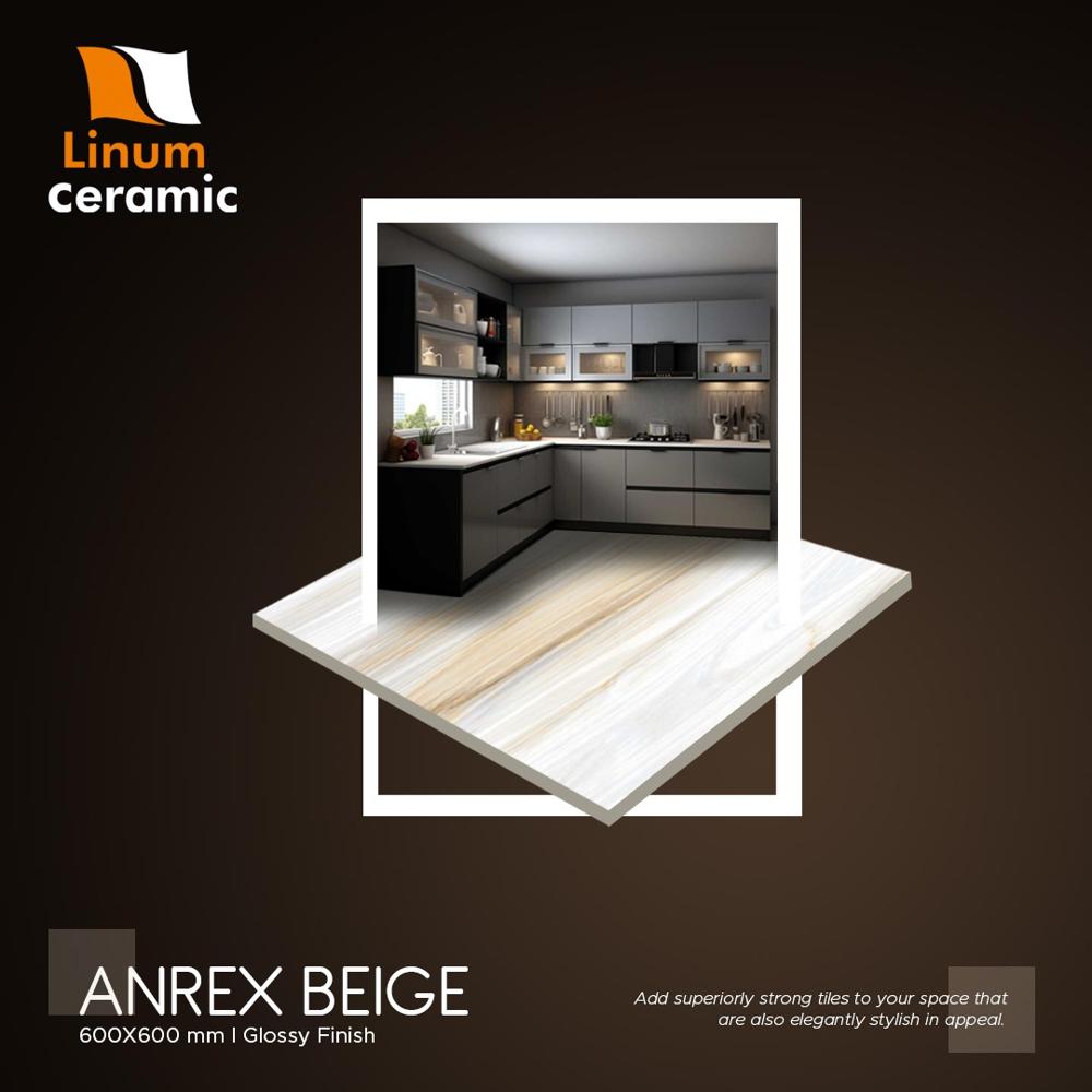 55001 600x600 Mm Matt Finish Tile - Feature: Acid-resistant