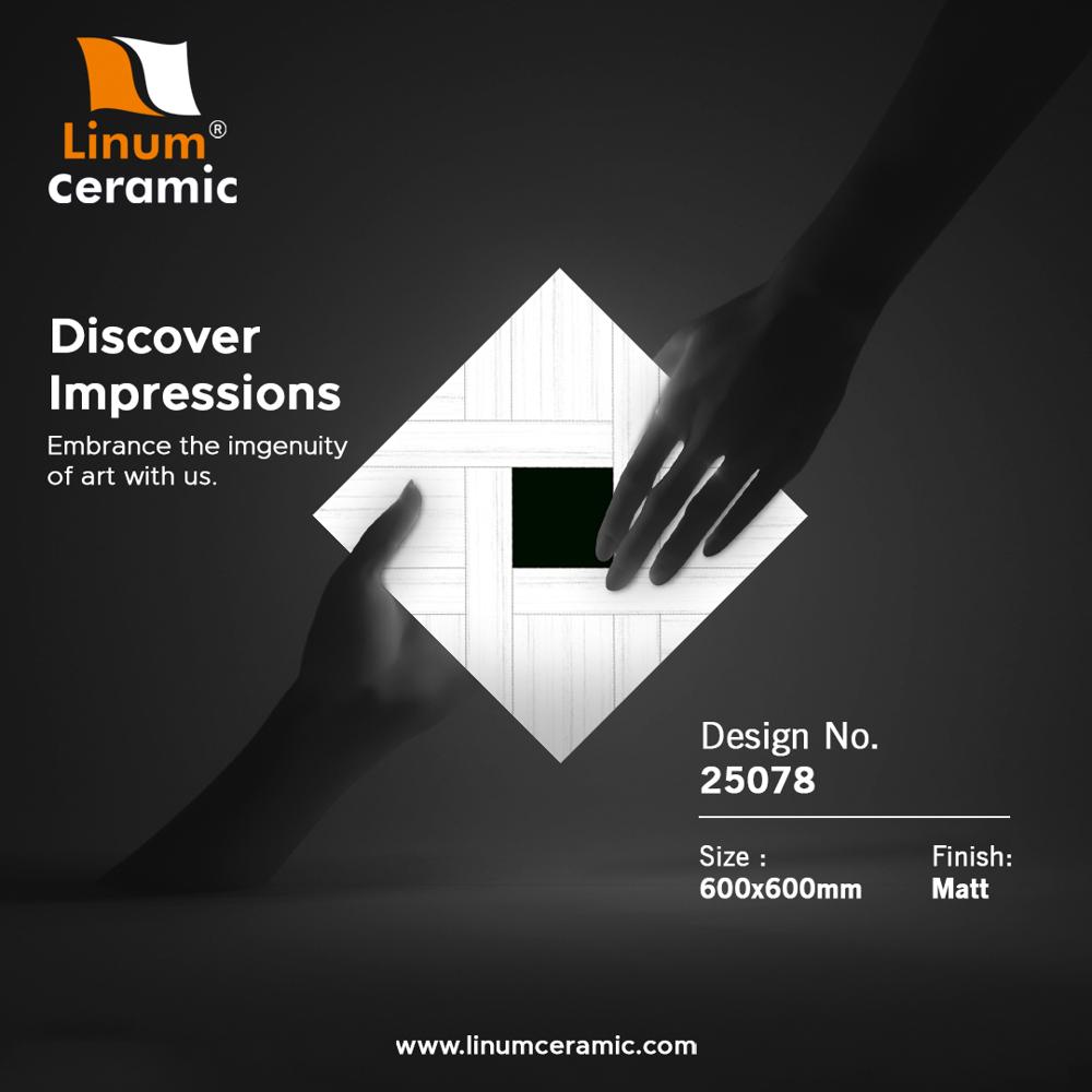 55001 600x600 Mm Matt Finish Tile - Feature: Acid-resistant