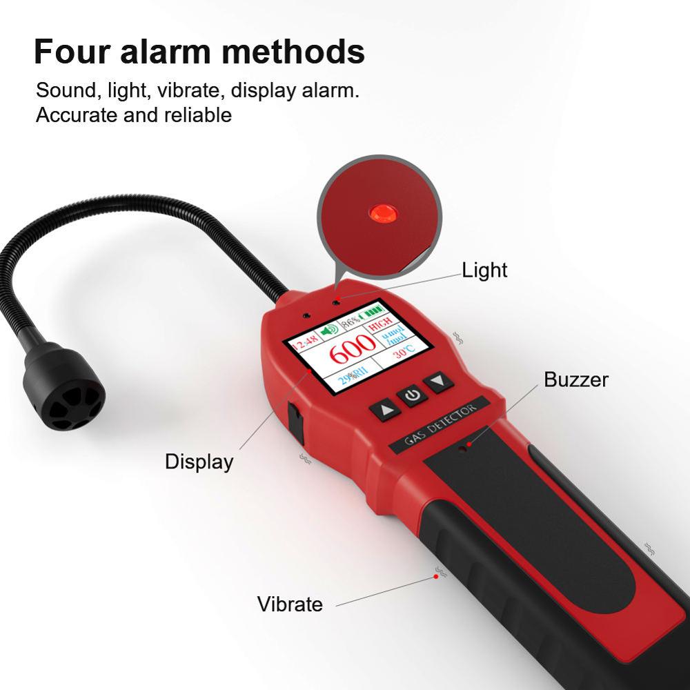 Portable Gas Detectors
