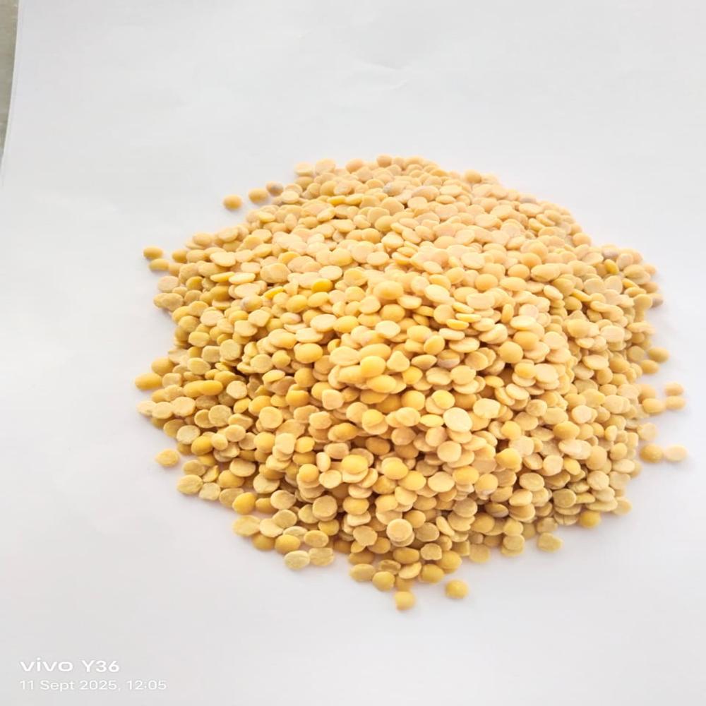 Organic Tuar Dal - Color: Yellow
