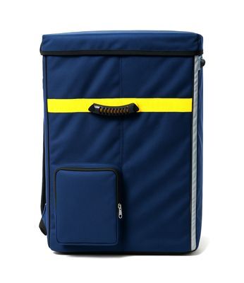 Polyester E Kart Logistic Delivery Bag - Color: Blue