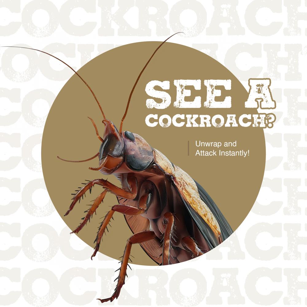 NC008 Cockroaches House