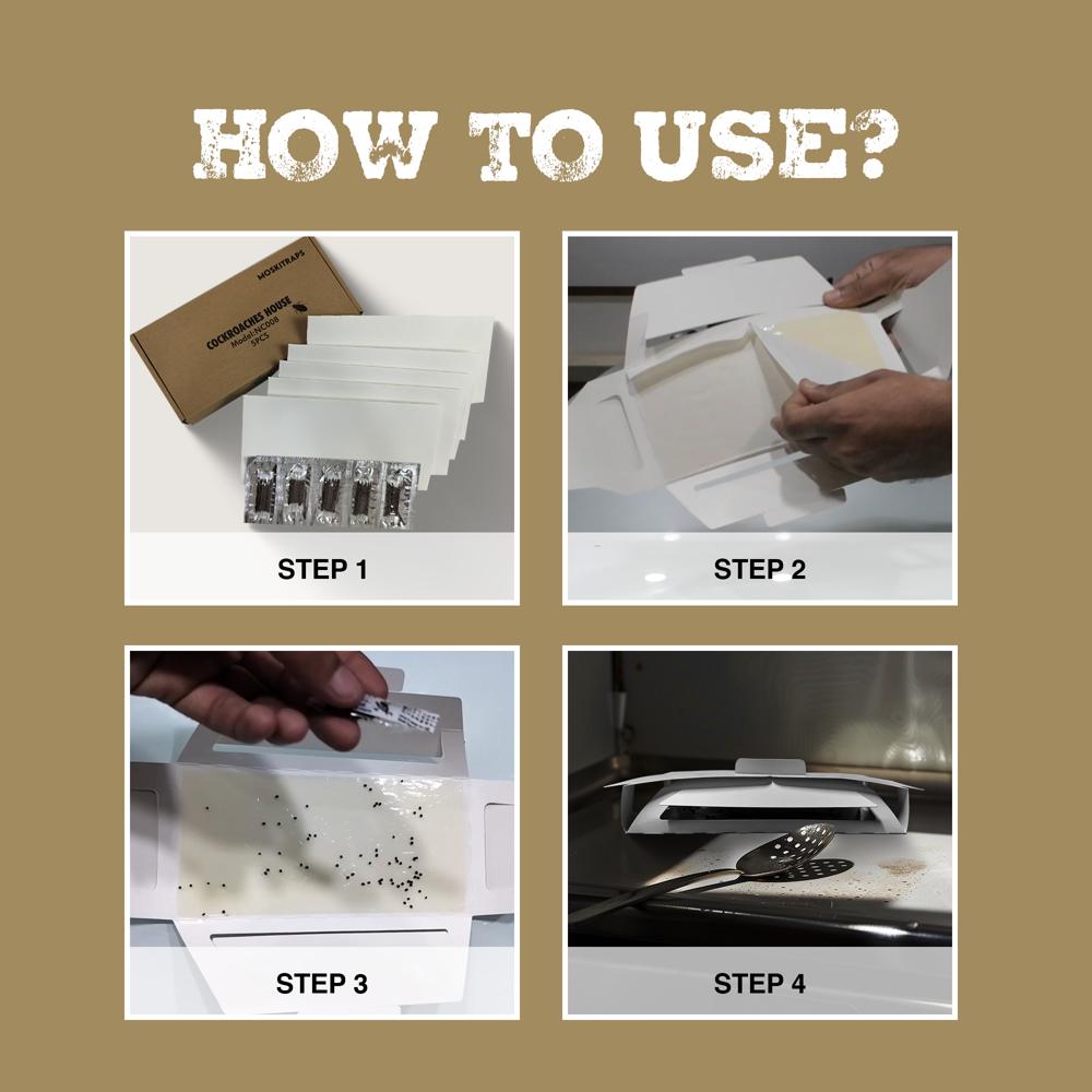 NC008 Cockroaches House