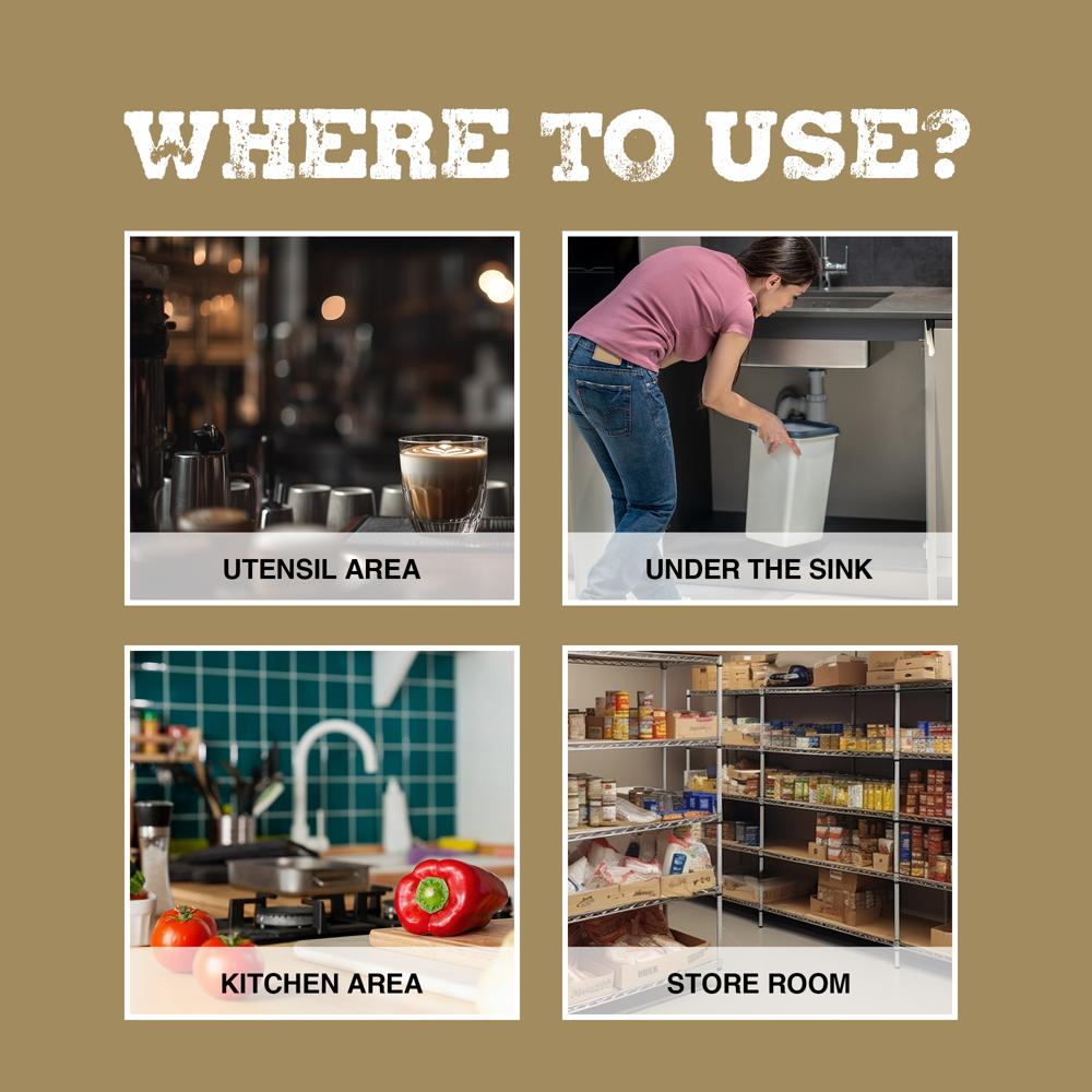 NC008 Cockroaches House