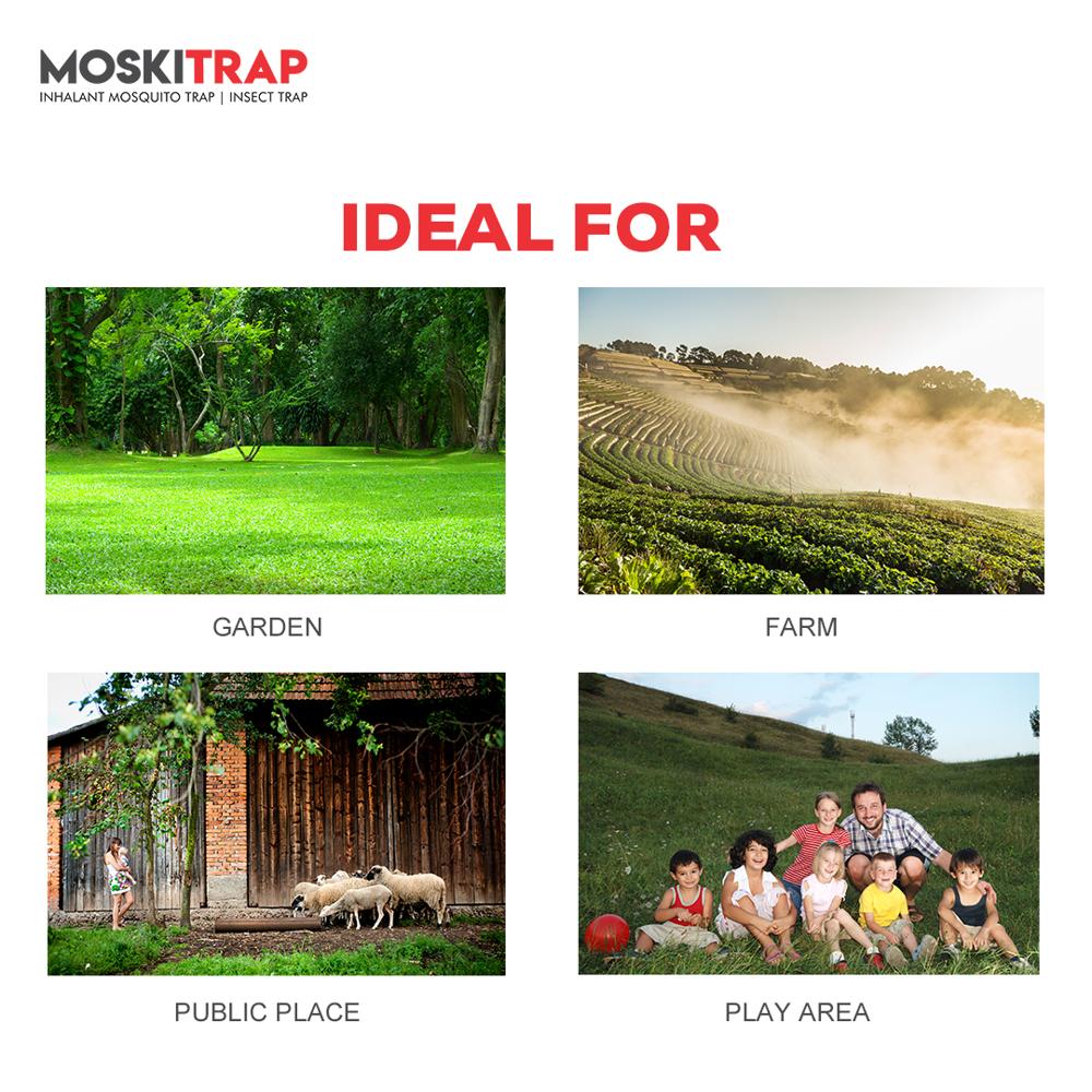 GW013 Outdoor Fly Catcher