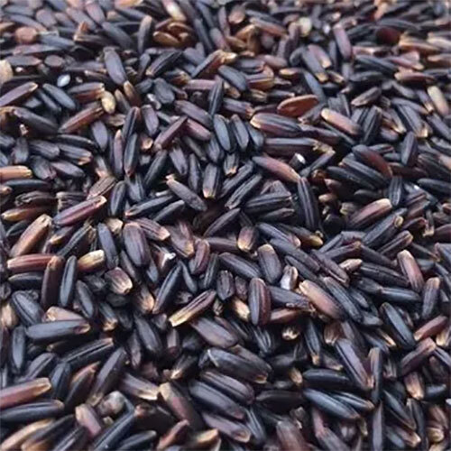 Karunguruvai Rice - Color: Black