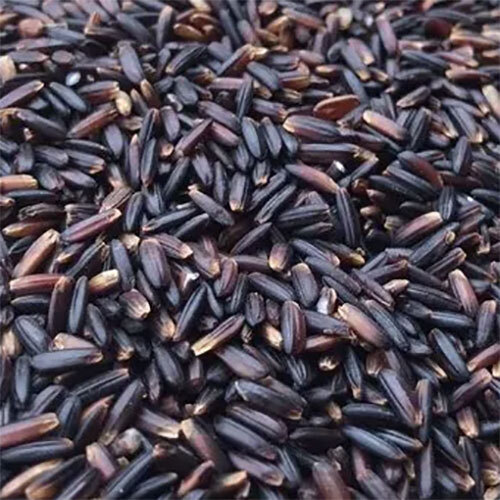Kudavazhai Rice - Color: Black