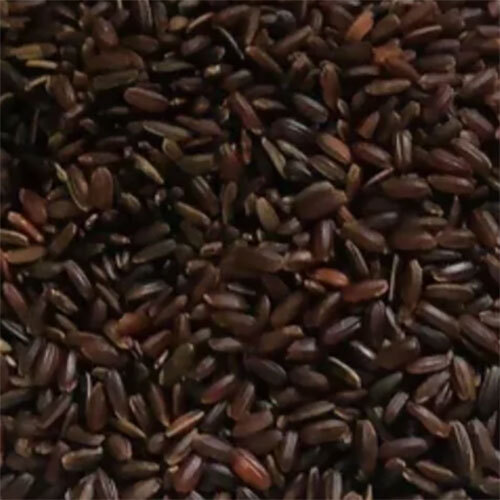 Kullakar Rice - Cultivation Type: Organic