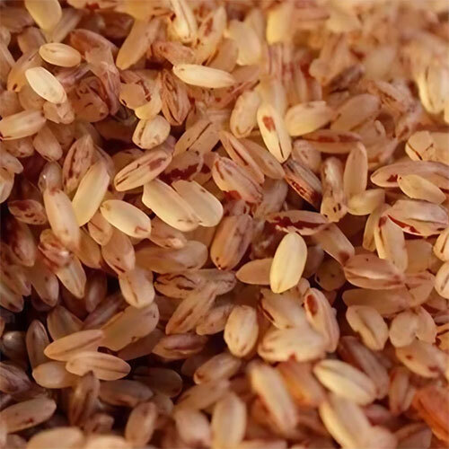 Matta Rice - Cultivation Type: Organic