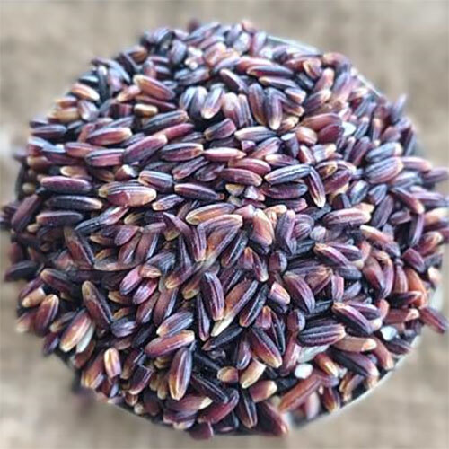 Treditional Rice - Cultivation Type: Organic