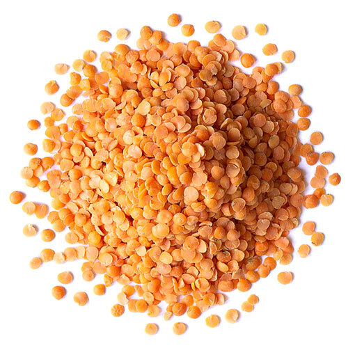 Red Lentil Dal - Cultivation Type: Organic
