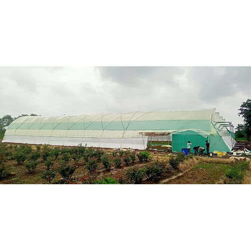 Agricultural Polyhouse