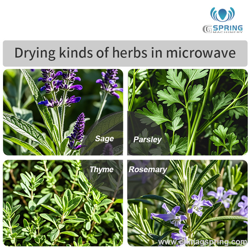 Industrial Tunnel Microwave Herb Drying Sterilization Machine