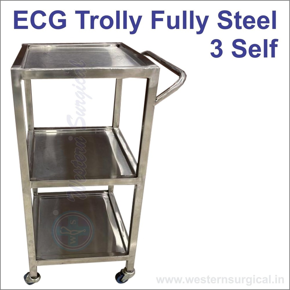 Ecg Trolly Fully Steel 3 Self - Color: Silver