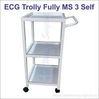 Ecg Trolly Fully Ms 3 Self - Application: Hospital Furniture