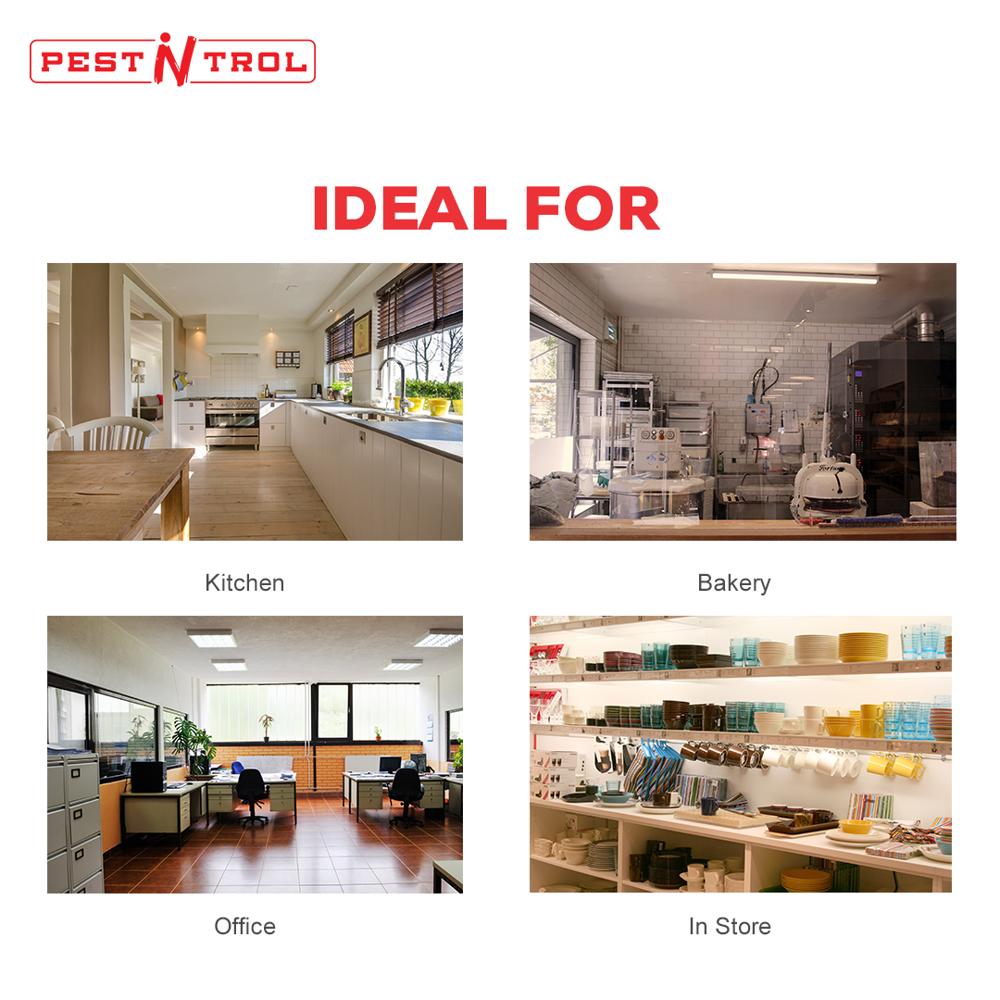 Pest Repeller Device 5 In 1 - Coverage Area: 100 Square Foot (Ft2)