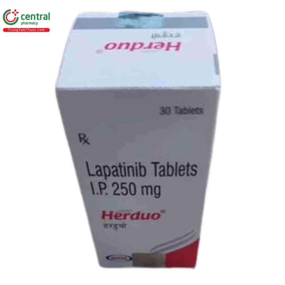 Lapatinib 250 mg