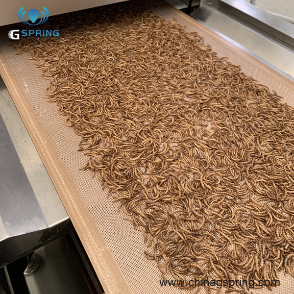 Continuous Belt Type Mealworm Drying Equipment - Dimension (L*w*h): 12000*1300*2000mm Millimeter (Mm)