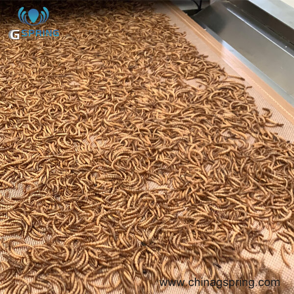 Continuous Belt Type Mealworm Drying Equipment