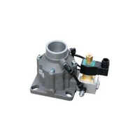 Intake Valve - Material: Metal
