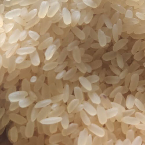Organic Rice - Color: White