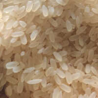 Organic Rice