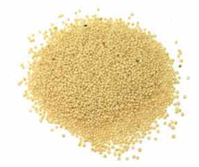 राजगिरा के बीज