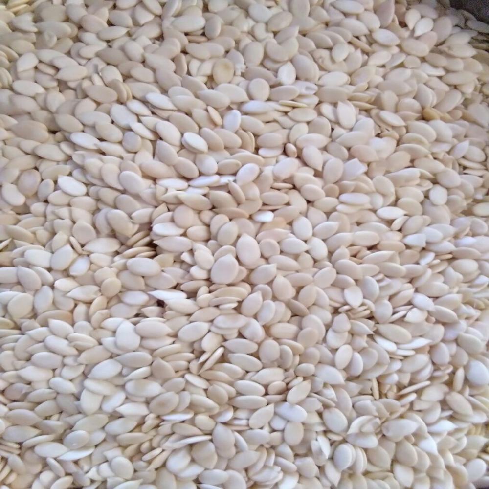 Watermelon Seeds Kernel