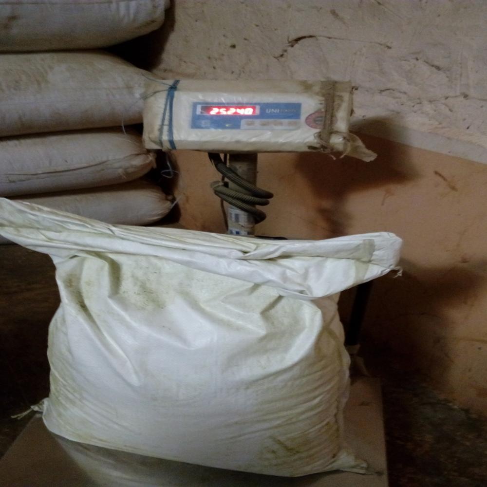 Watermelon Seeds Kernel