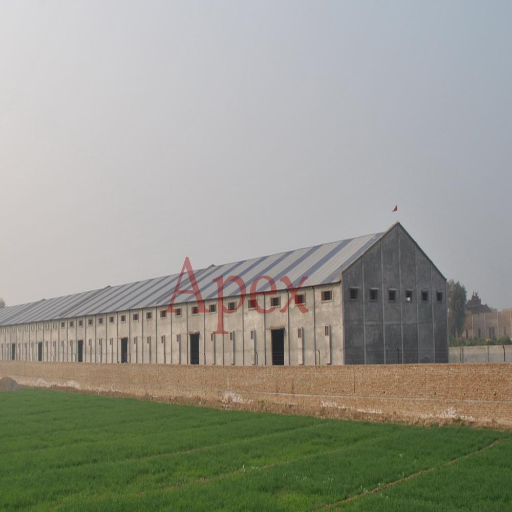 Watermelon Seeds Kernel