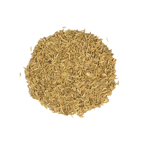 Cumin Seed Essential Oil - Age Group: Adults