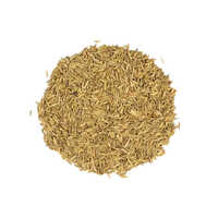 Cumin Seed Essential Oil - Age Group: Adults