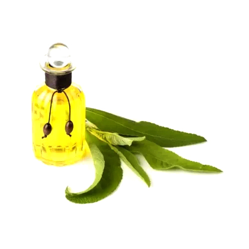 Camphor Oil