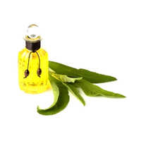 Camphor Oil