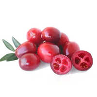Cranberry Seed Oil - Age Group: Adults