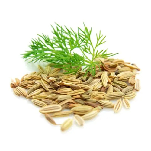 Fennel Sweet Oil - Age Group: Adults