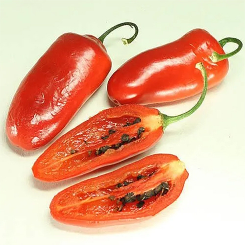 Chilly Seed Oil - Age Group: Adults