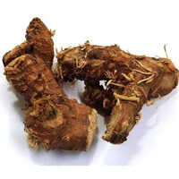 Kulanjan Oil - Age Group: Adults