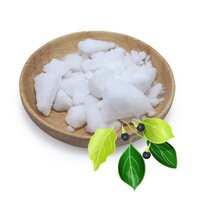 Pure Camphor Powder - Color: Multiple