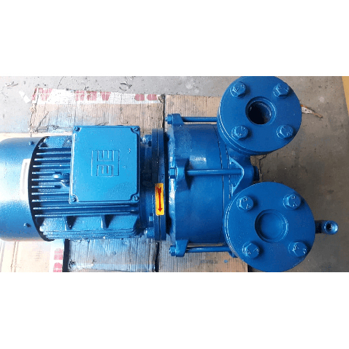 Monoblock water ring vacuum pump