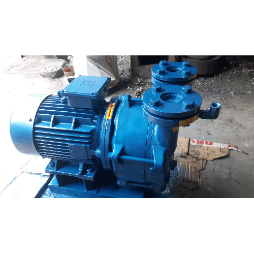Monoblock water ring vacuum pump