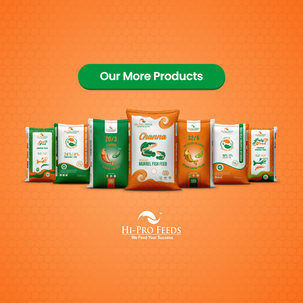 Murrel Feed - 40/8 - 1MM