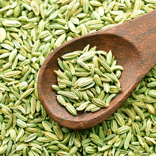 Fennel Seed
