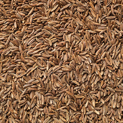 Cumin Seed