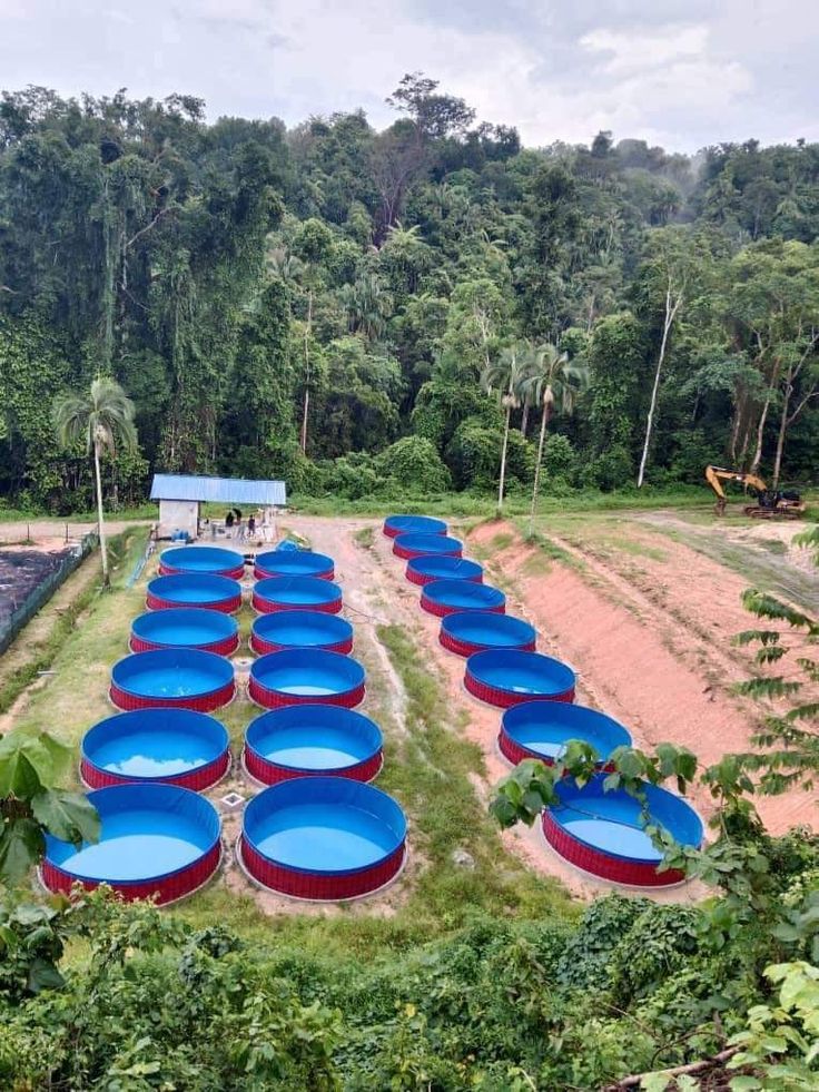Biofloc Fish Farming Tank