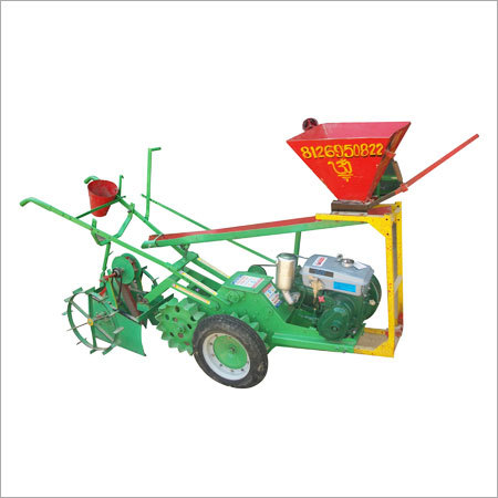 आलू पौधे के साथ पीको