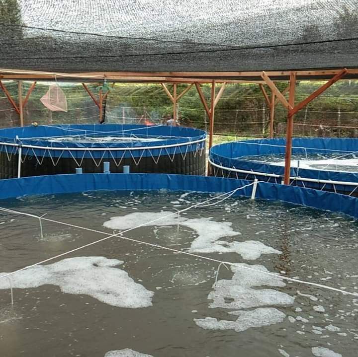 Biofloc Fish Farming Tank 2 diometer  650 GSM (2500 liter)