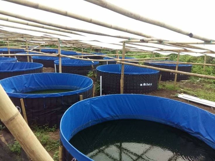 Biofloc Fish Farming Tank 2 diometer  650 GSM (2500 liter)