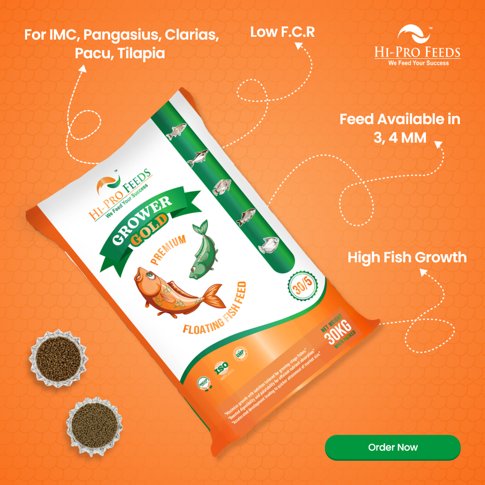 30/5 Grower Gold - 3MM 