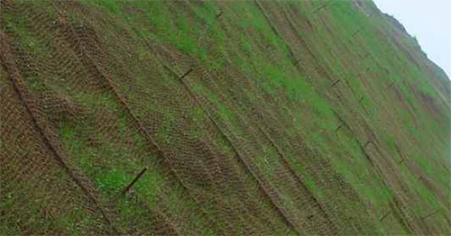 Geo Grids - Features: Waterproof